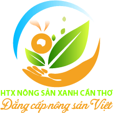 ĐHTT 2019 – HTX Nông sản xanh Cần Thơ