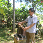 HTX nuôi ong thu ‘mật ngọt’ từ tinh hoa rừng Cúc Phương