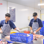  Làm ‘sông trong ao’ cho cá ‘tập thể dục”, một HTX ở Hà Nội thu về cả chục tỷ mỗi năm