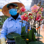 Nâng sức cạnh tranh cho HTX từ R&D