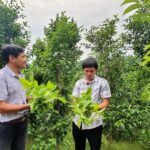 Quảng Ngãi: Thanh niên miền núi khởi nghiệp với sản phẩm địa phương