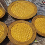 Chuỗi liên kết giúp thành viên HTX an tâm sản xuất, vươn lên làm giàu