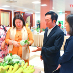 Trăn trở của vị giám đốc HTX có doanh thu hàng tỷ đồng mỗi năm và gợi mở từ Chủ tịch Liên minh HTX Việt Nam