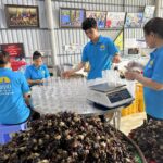 Nâng tầm sản vật quê hương