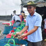 Câu lạc bộ nông dân tỷ phú tạo sức kéo mạnh trong giảm nghèo ở Bến Tre