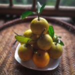 Hợp tác xã 3T Farm, mô hình kinh tế nông nghiệp tiêu biểu ở huyện Cao Phong, tỉnh Hòa Bình