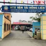 HTX Vận tải Hồng Liên với mô hình kinh doanh bền vững