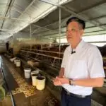  Vững bước đi lên từ nuôi bò hữu cơ ở HTX Đạt Thắng