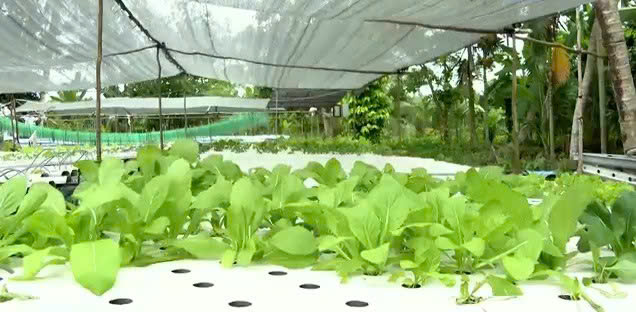 z7147459691257_a6b443b9777e9017ab5af3e3d86f00ad